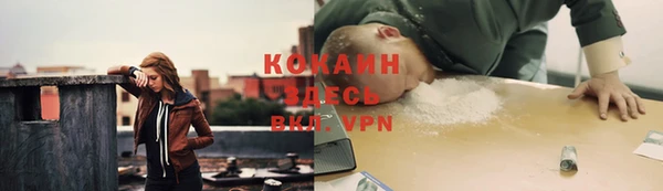 гашик Абинск