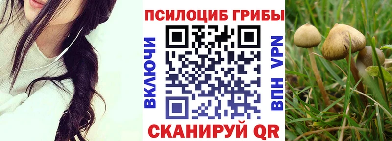 Псилоцибиновые грибы Cubensis  мориарти состав  Каменск-Шахтинский  сколько стоит 